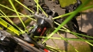 Pulpis�v SCOTT Scale RC - VIII.