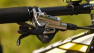 Pulpis�v SCOTT Scale RC - X.