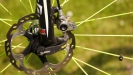Pulpis�v SCOTT Scale RC - X.