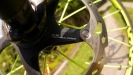 Pulpis�v SCOTT Scale RC - X.