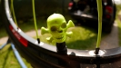 Pulpis�v SCOTT Scale RC - X.