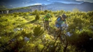 Vyb�r�me kolo SCOTT - T��da Trail - Genius