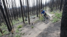 Vyb�r�me kolo SCOTT - T��da Trail - Aspect
