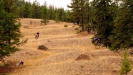 Vyb�r�me kolo SCOTT - T��da Freeride - Voltage FR