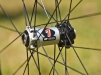 Nov� kola DT Swiss Spline One