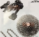 SHIMANO XTR 2015