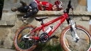 Vyb�r�me kolo SCOTT pro d�ti - XVII