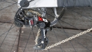 SRAM X01 DH
