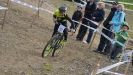 Pulpis prvn� v Koutech