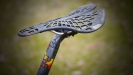 N� SCOTT tuning � 10