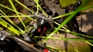 N� SCOTT tuning � 21