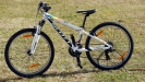 Ninova kolekce � SCOTT Scale JR 24