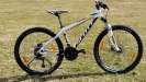 Ninova kolekce � SCOTT Scale JR 26
