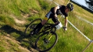 Pulpis a zlat� dabl