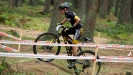 Pulpis na Zadov�