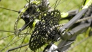 SCOTT 2016 � Spark RC � Sram