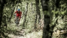 Vyb�r�me kolo SCOTT  - T��da Trail � Genius