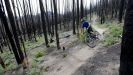 Vyb�r�me kolo SCOTT  - T��da Trail � Aspect
