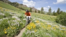 Vyb�r�me kolo SCOTT  - T��da Trail � Aspect