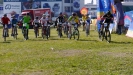 Pulpisova prvn� placka