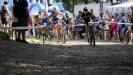 Pulpis jede v brambor�ch