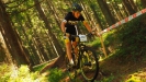 Pulpis jede v brambor�ch