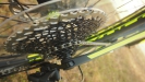 SCOTT 2017- Scale RC 900 World Cup
