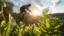 Vyb�r�me kolo SCOTT - MTB � 29 palc�