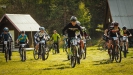 Holick� Medv�d 2017