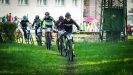 Holick� Medv�d 2017
