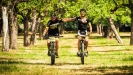 Bodik ve zlat� na Dr�salovi