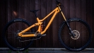 Test SCOTT Gambler 2020