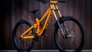 Test SCOTT Gambler 2020
