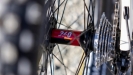 Teamov� SCOTT Gambler 