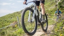 Objedn�vky u� jedou